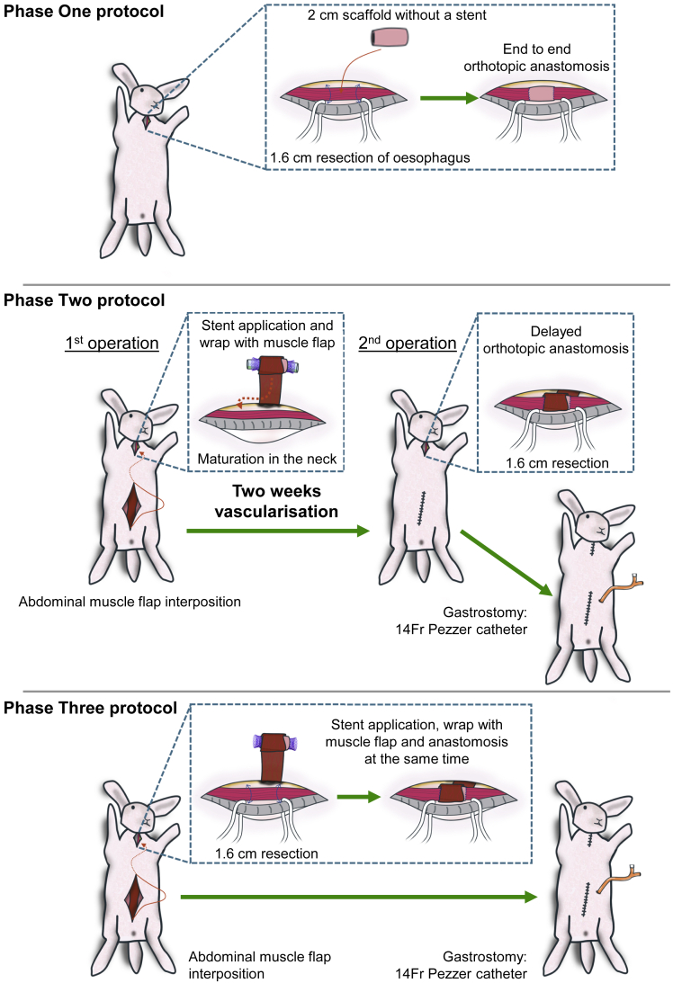 Figure 2