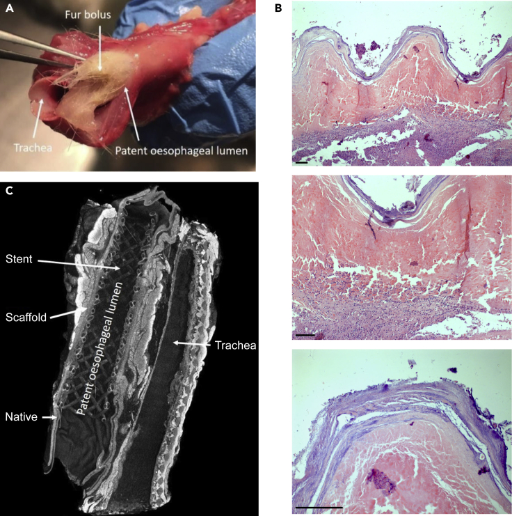 Figure 6