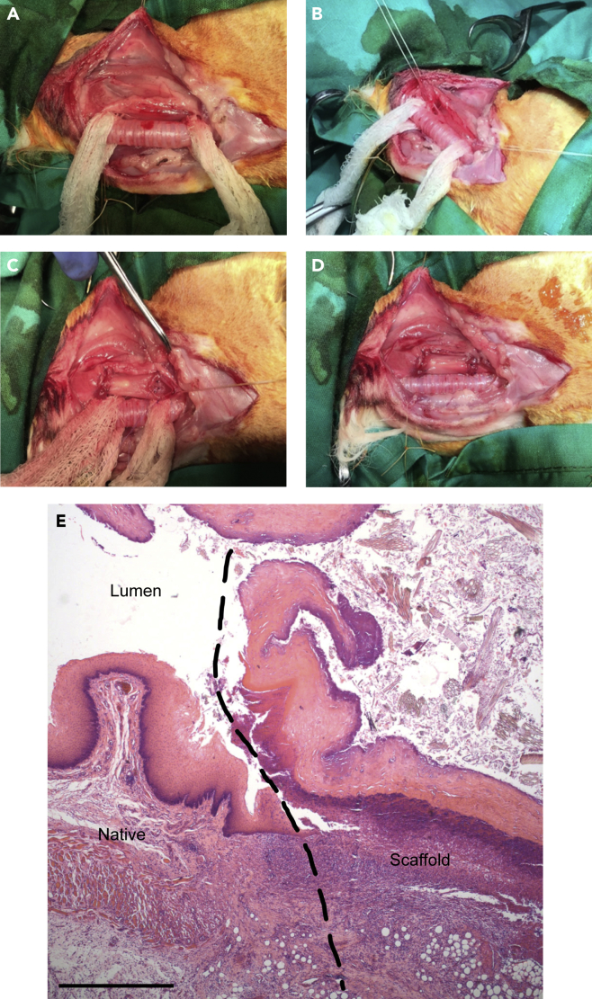 Figure 3