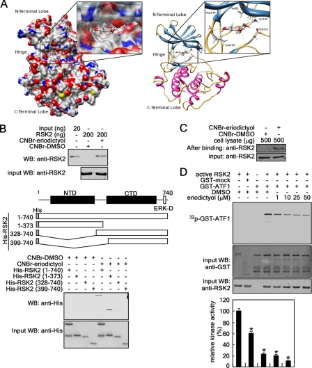 FIGURE 2.