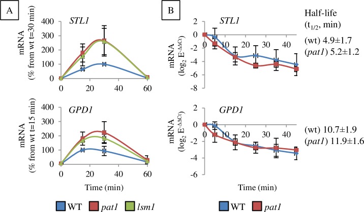 Fig 2