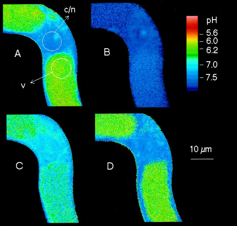 Figure 9