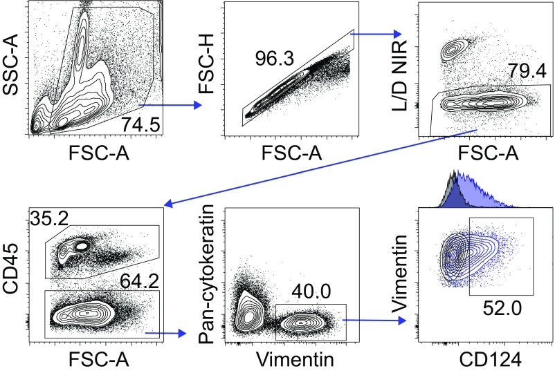 Fig. S4.