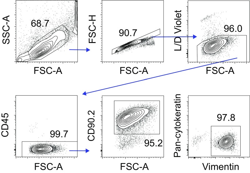 Fig. S5.