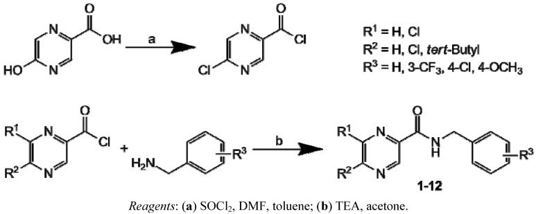 Scheme 1