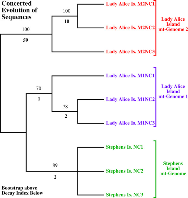 Fig. 5