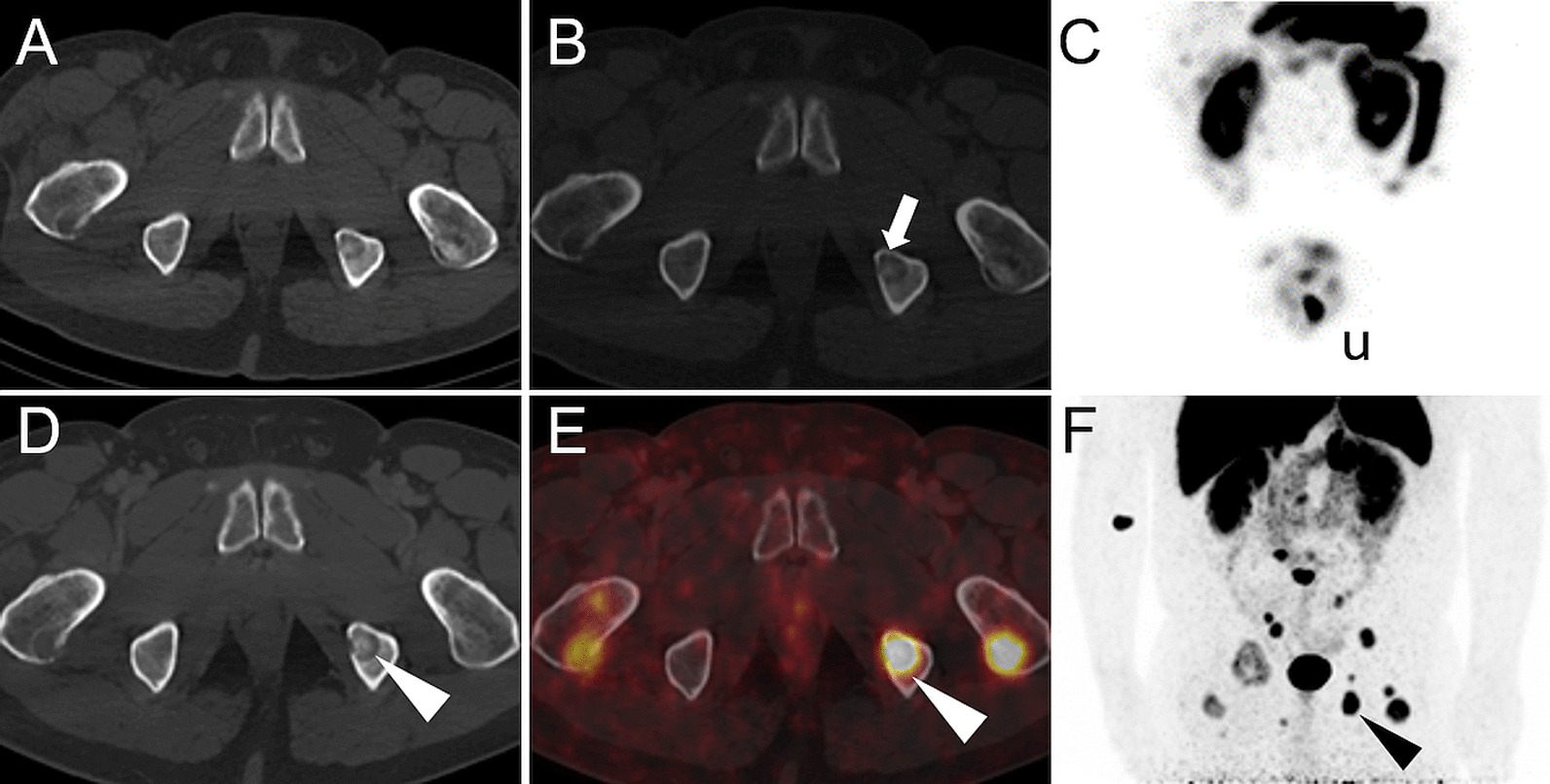 Fig. 4