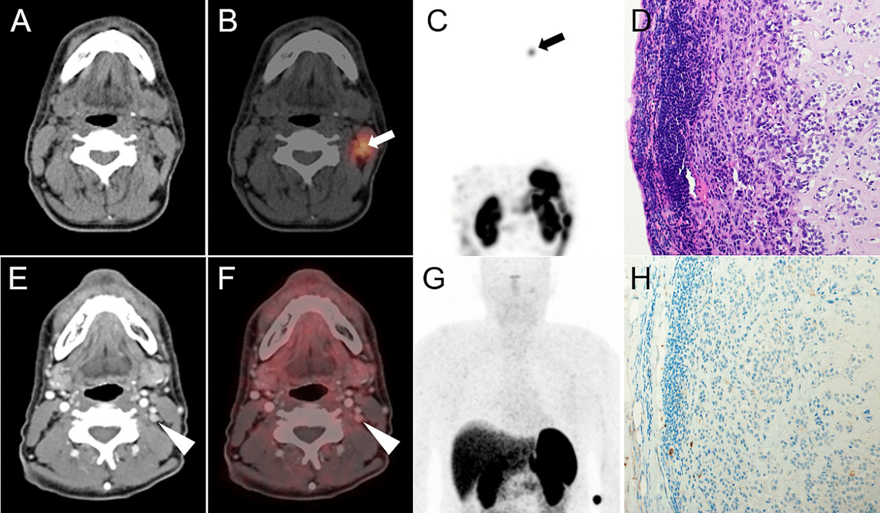 Fig. 5