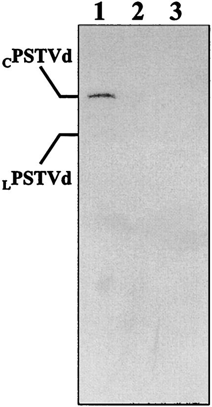 FIG. 8.