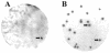 FIG. 1.