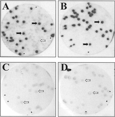 FIG. 5.