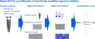 Graphical abstract