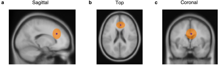 Figure 5—figure supplement 2.