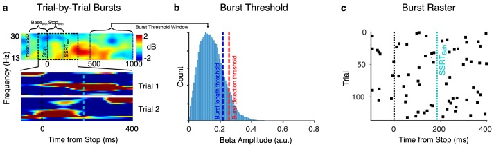 Figure 5—figure supplement 3.