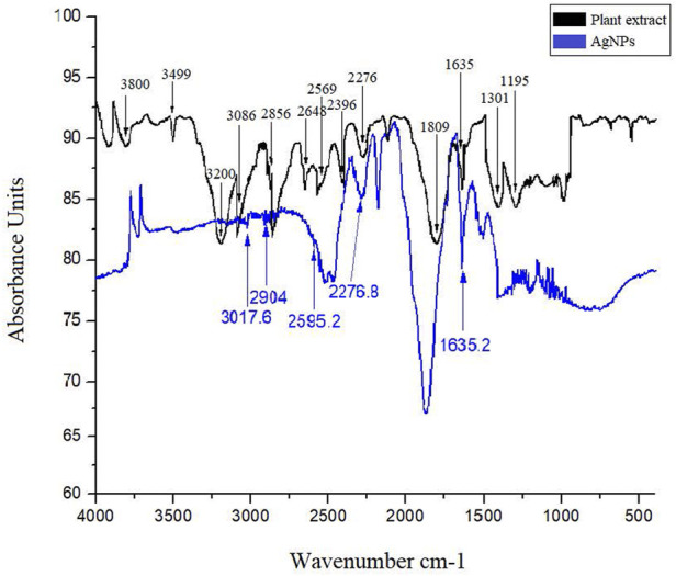 FIGURE 4