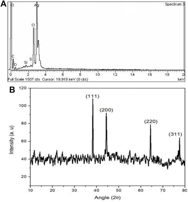 FIGURE 6