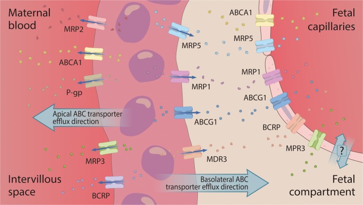 Figure 2