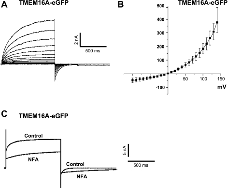 Fig. 8.