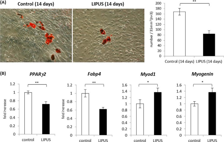 FIGURE 10.