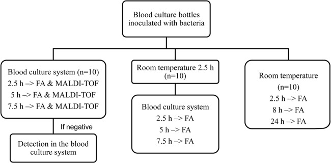 FIG 1