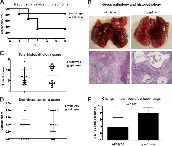 FIG 1 