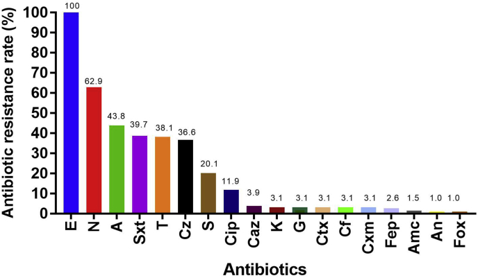 Figure 3