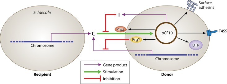 FIG 1