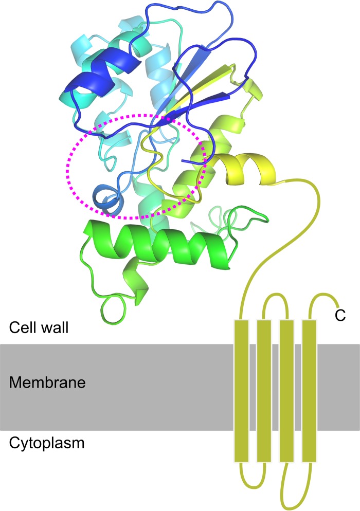 FIG 4