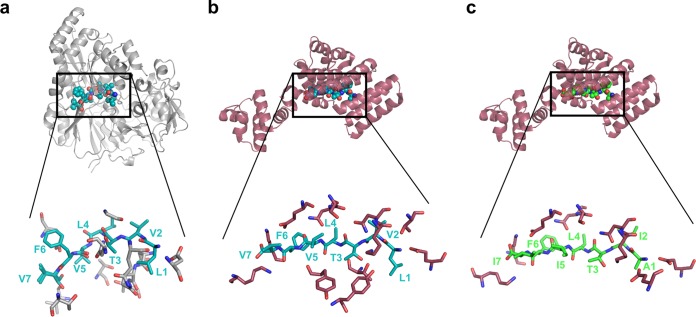 FIG 3