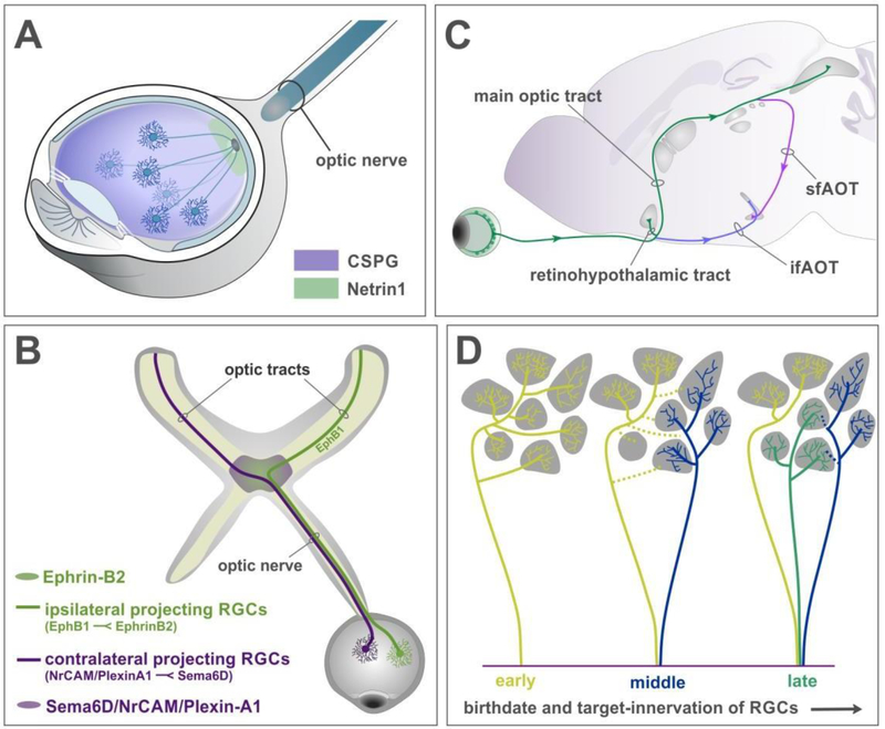 Figure 1: