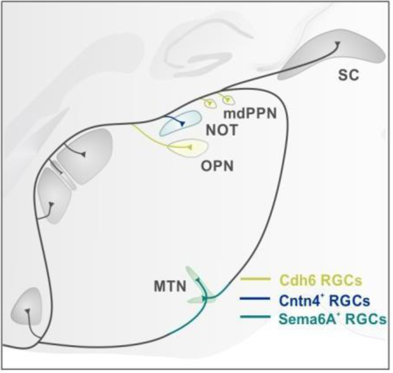 Figure 2: