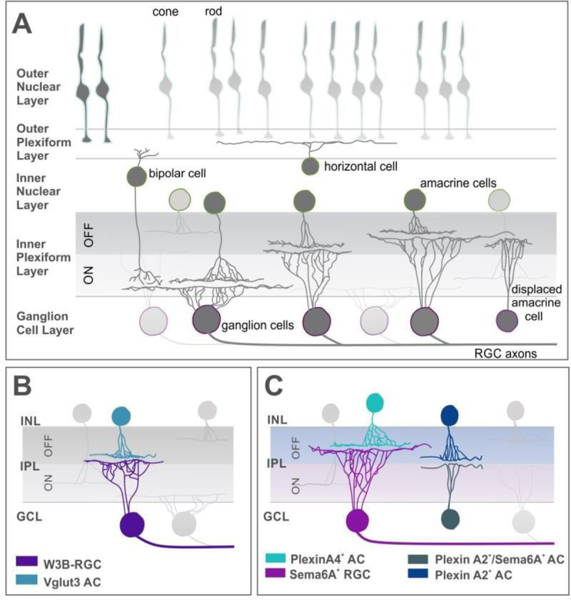 Figure 3: