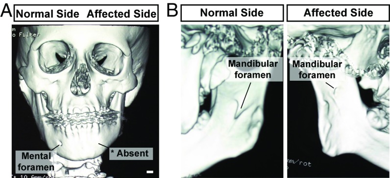 Fig. 5.