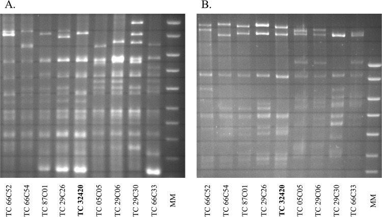 FIG 1