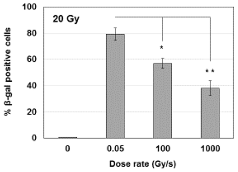 Fig.3: