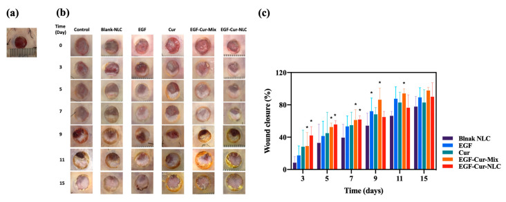 Figure 7