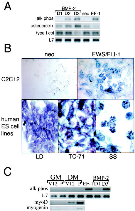 FIG. 8.