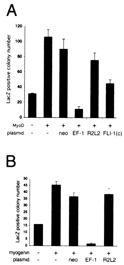 FIG. 5.