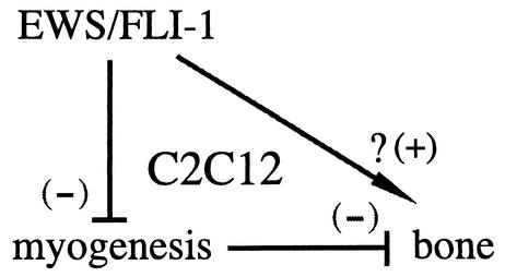 FIG. 9.