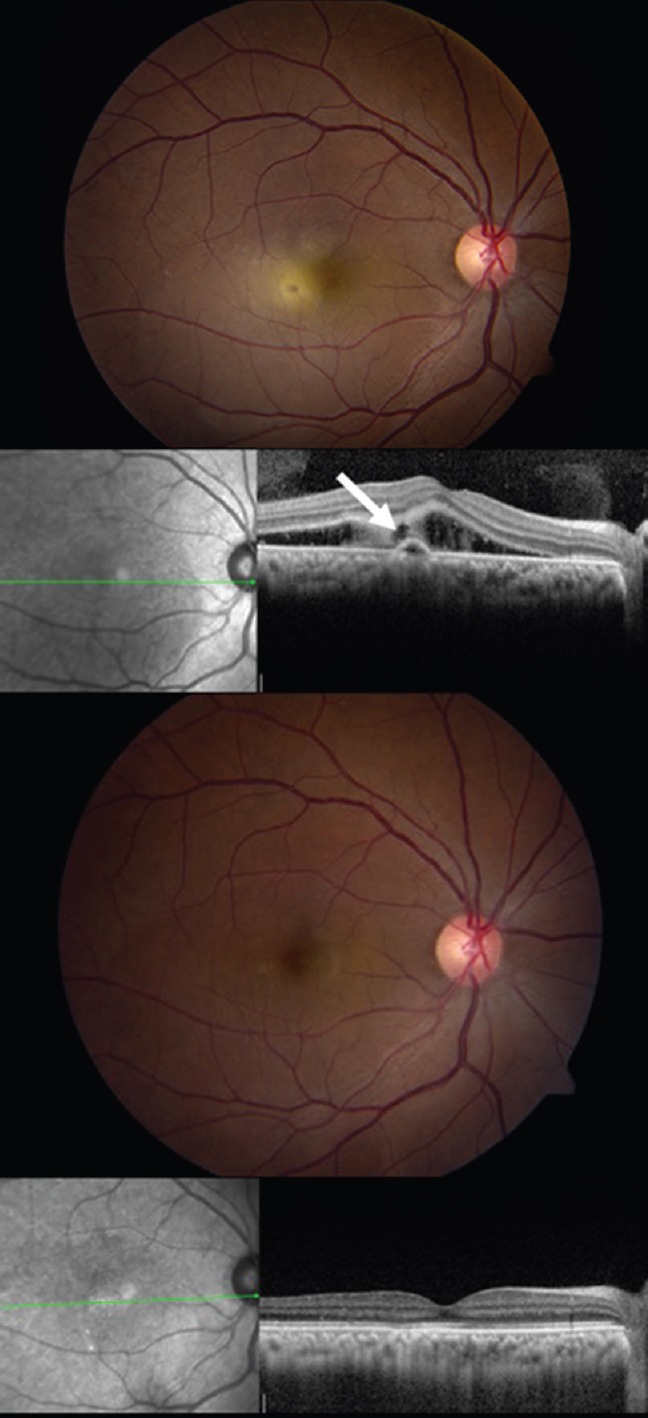 Figure 4