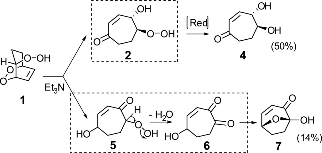 SCHEME 3