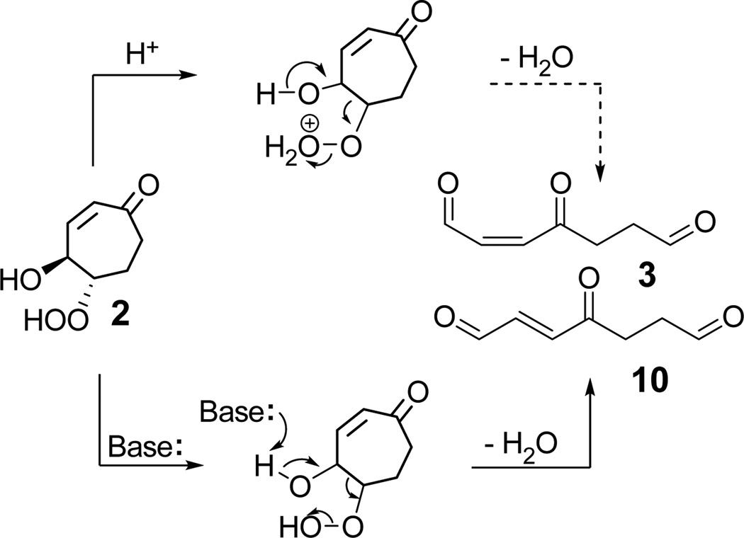 SCHEME 6