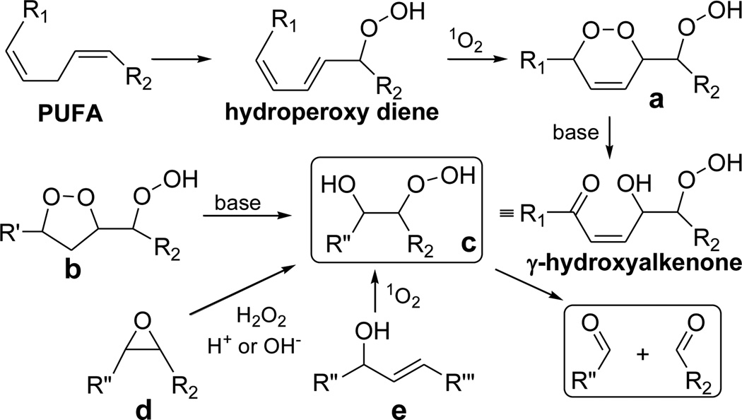 SCHEME 1