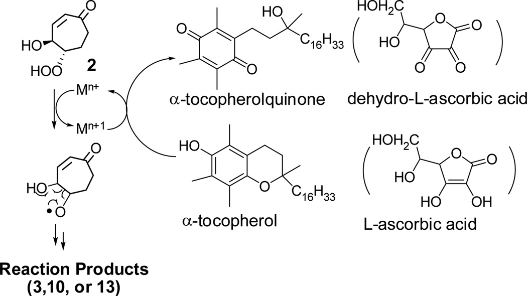 SCHEME 8