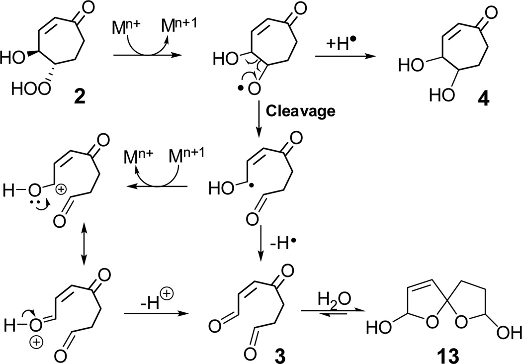 SCHEME 7