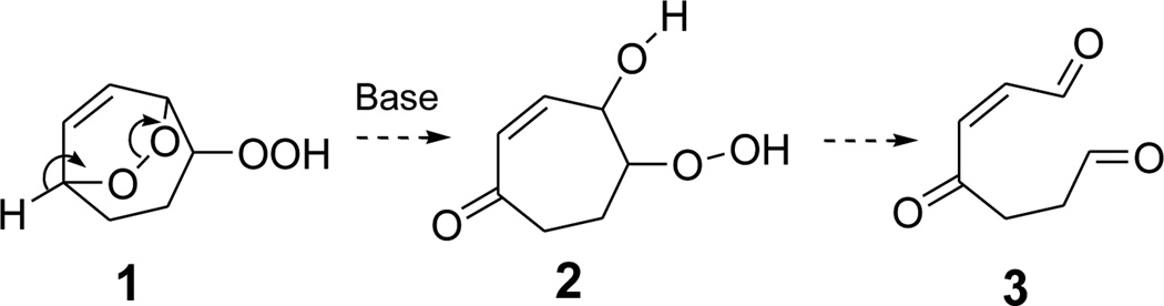 SCHEME 2