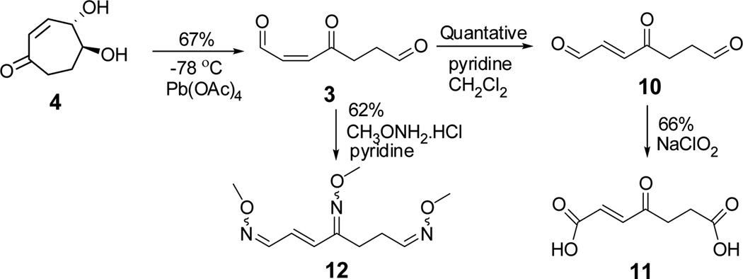 SCHEME 5