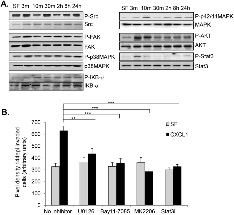 Fig 8.