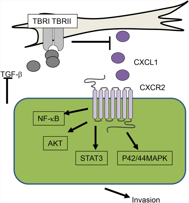 Fig 9.