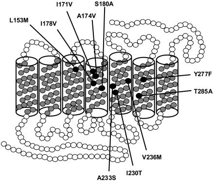 Figure  1